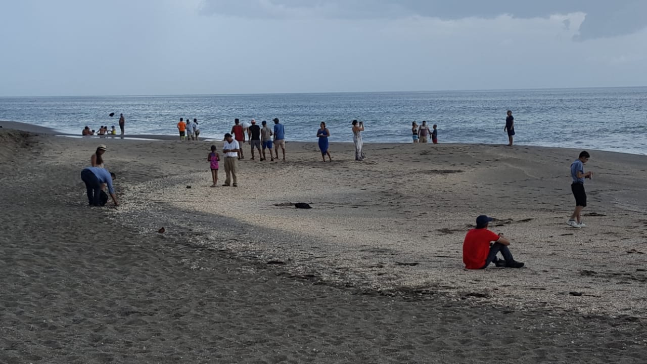 Playa1